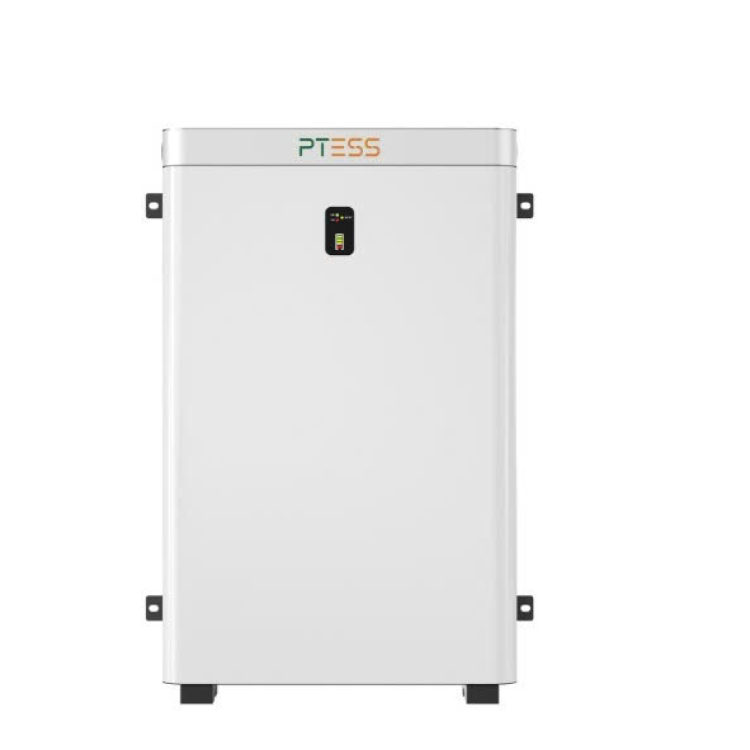 	Pin lưu trữ PTESS Wallmount 51.2V/200Ah Áp thấp | PT-ESS-W10240